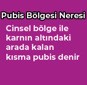 Pubis Estetiği Nedir?