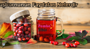 Kuşburnunun Faydaları Nelerdir?