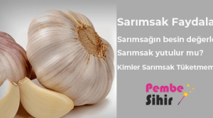 Sarımsak Faydaları