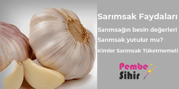 Sarımsak Faydaları