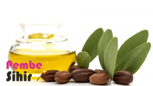 Jojoba Yağı Nedir