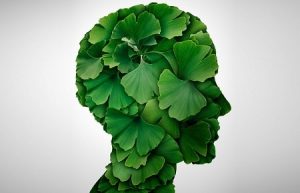 Ginko Biloba Faydaları
