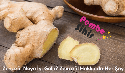 Zencefil Neye İyi Gelir Zencefil Hakkında Her Şey