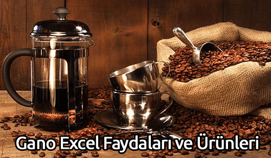 Gano Excel Faydaları ve Ürünleri