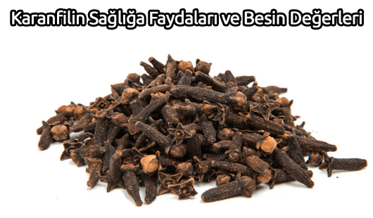 Karanfilin Sağlığa Faydaları ve Besin Değerleri