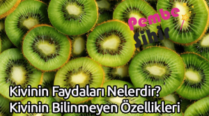 Kivinin Faydaları Nelerdir? Kivinin Bilinmeyen Özellikleri