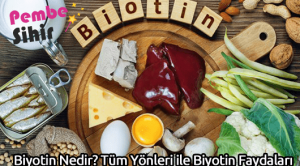 Biyotin Nedir? Tüm Yönleri ile Biyotin Faydaları