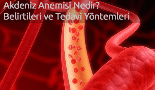 Akdeniz Anemisi Nedir Belirtileri ve Tedavi Yöntemleri