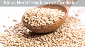 Kinoa Nedir? Faydaları ve Özellikleri