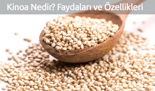 Kinoa Nedir Faydaları ve Özellikleri