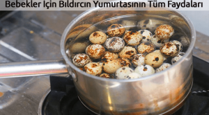 Bebekler İçin Bıldırcın Yumurtasının Tüm Faydaları