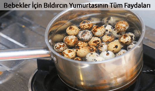 Bebekler İçin Bıldırcın Yumurtasının Tüm Faydaları