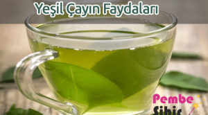 Yeşil Çayın Faydaları