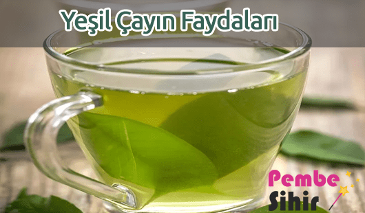 Yeşil Çayın Faydaları