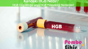 Kandaki HGB Nedir? HGB Düşüklüğü veya HGB Yüksekliği Nedenleri